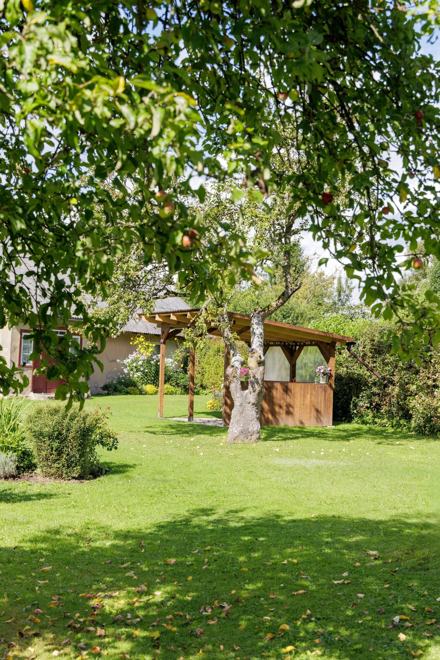 Backyard with gazebo and small structure